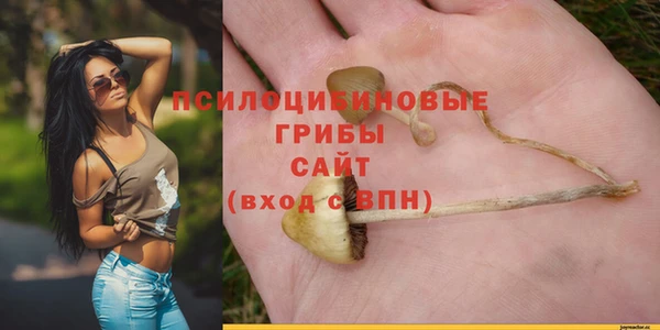 амф Арсеньев